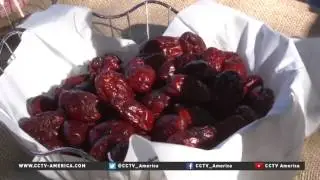 New business hopes to expand jujube fruit popularity in US