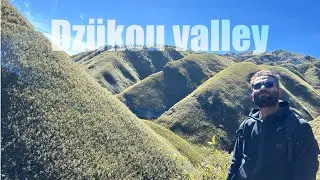 One-day Dzükou Valley trekking - Is it possible ?