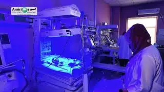 Dr. Amina Safwat Haqbeeb, Junior Consultant- Neonatologist