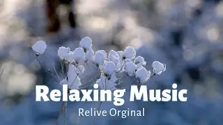 Relaxing Music for Snowy Evening Vibes | Relive Original