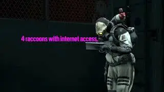 4 Raccoons With Internet Access