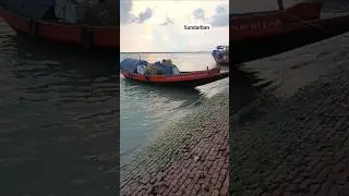 Beutiful Sundarban #sundarban #gplot #boat