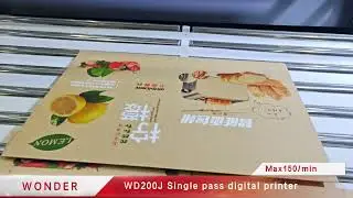 Wonderjet WD 200J  Single-pass Digital Printer with White Color!!!