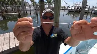 How to Bridle a Live Bait on to a Circle Hook