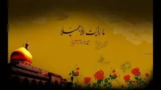 باورت می شد ببینی خواهرت را یک زمان (روضه حضرت زینب س) | میثم مطیعی و امیرعباسی