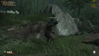 Ghost of Tsushima - The Past Never Passes (Quest Walkthrough)