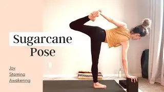 Sugarcane Pose | Vinyasa Flow Yoga