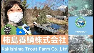 Kakishima's Rainbow Trout Farm 