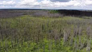 Montreal Lake, Saskatchewan