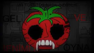 MR TOMATOS NASIL İNDİRİLİR?