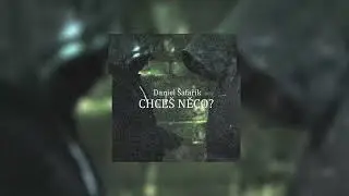 Daniel Šafařík -Chceš něco