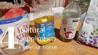 4 Grocery Store Supplements for your horse that won't break the bank