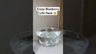 How to check blueberry ripeness🫐 #lifetips #lifehacks #kitchentips #kitchenhacks #cookingtips