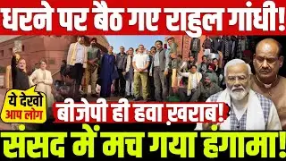 धरने पर बैठ गए राहुल गांधी! संसद में मच गया हंगामा! बीजेपी ही हवा ख़राब! Rahul Gandi Protest