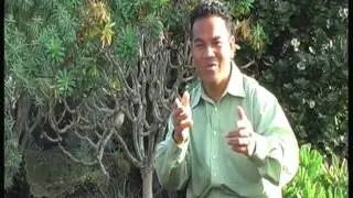 Talavou moe Finemui