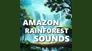 Jubilant Rainforest Sounds