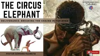 The Circus Elephant| Ps.Gerhard Kgobetsi| Sunday, 16th of January 2022| 9AM