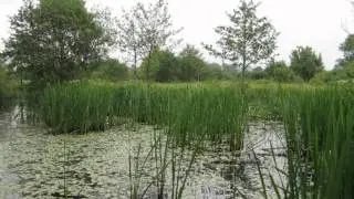 fishing picture ash fishery-trinity waters tiverton canal and the new digger lakes