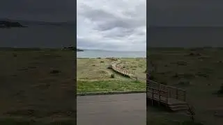 The Hidden Island You Can Walk To in Scotland #CramondIsland #Edinburgh #TidalIsland #HiddenGem