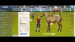 New Training Methods! | Horse World Online 5