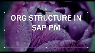 Организационная структура в SAP PM