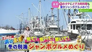 巨大ホタテに感激！道東でジャンボグルメ旅【どさんこワイド179】 2026-01-30