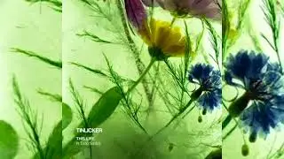 tinlicker-x-rufus-du-sol-x-afro-tech-x-melodic-techno-x-zhu