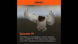 Ep. 79 &ndash; The History of The Mallard in North America Part 4: DOMESTIC THIS! Game-Farm Mallards w/...
