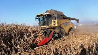 Kukurica na zrno 2020 / PPD Rybany / New Holland CX 8080 / New Holland CR 980