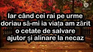 Negativ - Trăiască  Domnul - vazde Kio vast Opre (colaj)