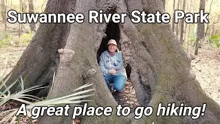 Suwannee River State Park - Live Oaks, FL