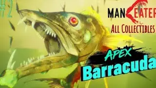 The Apex Barracuda (Maneater PS5 gameplay+no commentary+Collectibles Guide Ep 2)