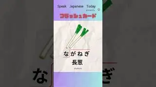 Flash Cards : How to say it in Japanese, Vegetables