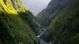 water, bird, forest sound + music for Stress relief, meditation, sleep, study and relax your mind.