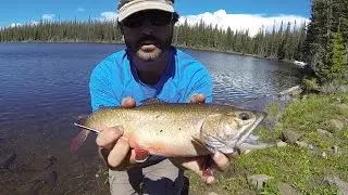 Flat Tops Wilderness Fishing Adventure