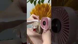 portable mini fan with digital display