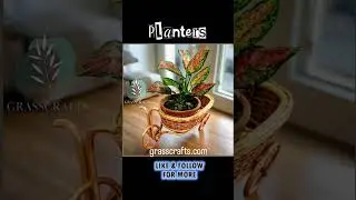 Eco-friendly hand-woven Cane planters&mdash;Women's Day celebration