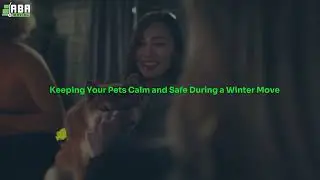 Moving with Pets This Winter: What Every Pet Owner Should Know