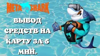 💸 Вывод средств из MetaShark на 💳 БАНКОВСКУЮ КАРТУ за ⏰ 5 минут.