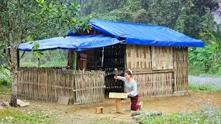TIMELAPSE 120 days : Building a new home in the wilderness - starting a new life from scratch