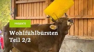 New electric scratch brushes for the cows (2/2)
