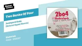 Two Banks Of Four - Junkyard Gods (Roland Appel Remix)