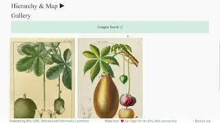 The BHL Image Explorer &mdash; A search tool for public domain biodiversity images