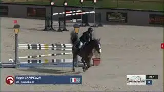 Regis GANDELON & Galaxy C (sired by WINNINGMOOD VD ARENBERG) -  Le Mans National Pro