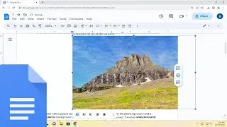 How to Insert Images Into a Google Docs [Guide]