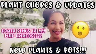 Plant Chores & Updates || New Plants & Pots || Death Plugs in My Pink Princess???