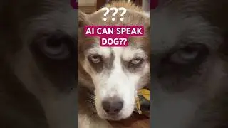 New AI model can communicate with dogs