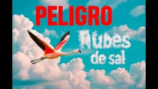 Nubes de sal