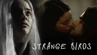 strange birds | peter/christina [hemlock grove]