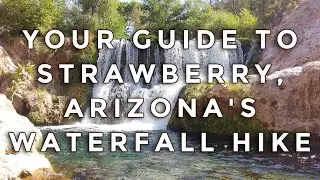Поход к водопаду Fossil Springs Bob Bear Trail в городе Строберри, штат Аризона.